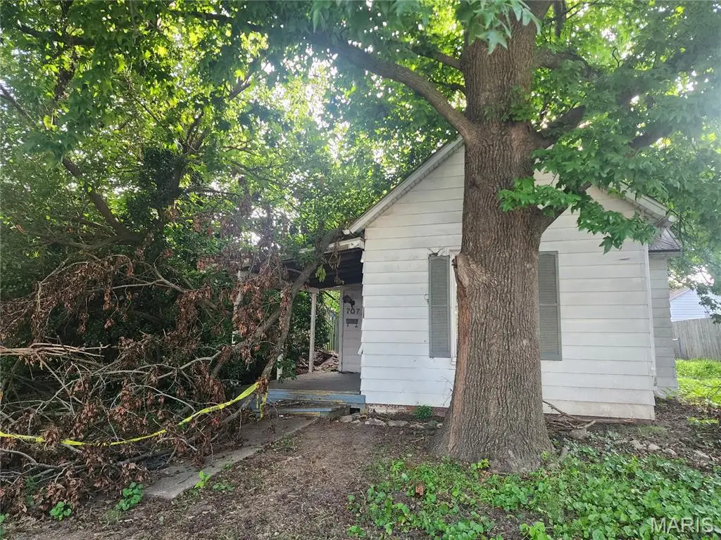 707 N Madison Street, Litchfield, IL 62056 - #1
