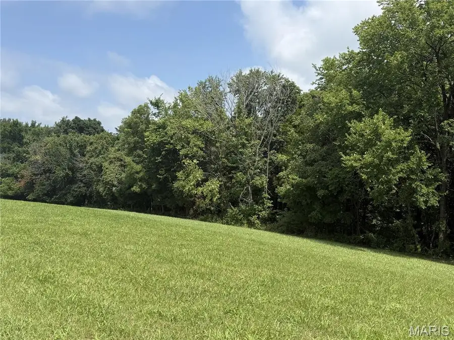 119 Coyote Crest Lane, Augusta, MO 63332 - #2
