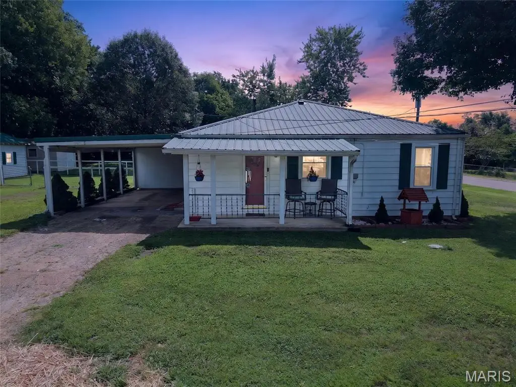 308 Thost Street, Fredericktown, MO 63645 - #1