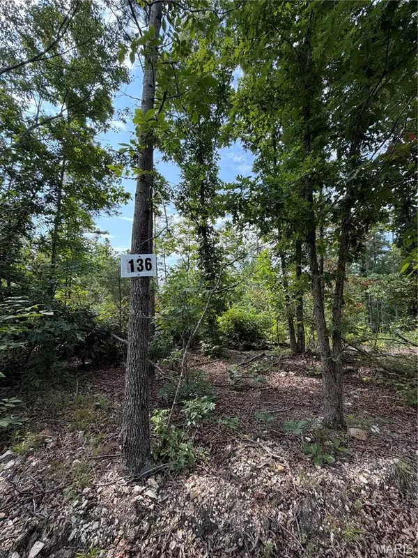 #136 Madison 410, Fredericktown, MO 63645