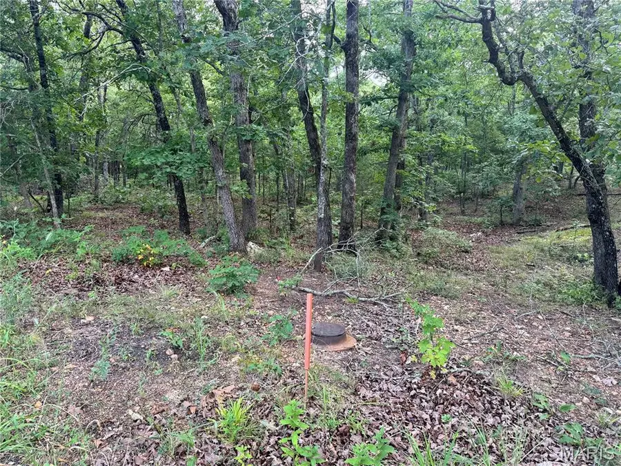 625 Pond Run Road, Gerald, MO 63037 - #3