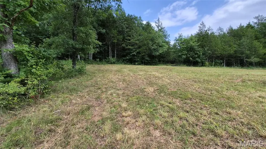 14163 Highway C, Annapolis, MO 63620 - #3
