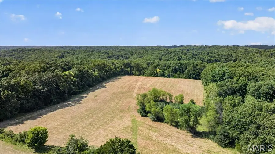 33 Timber Ridge, Marthasville, MO 63357 - #3