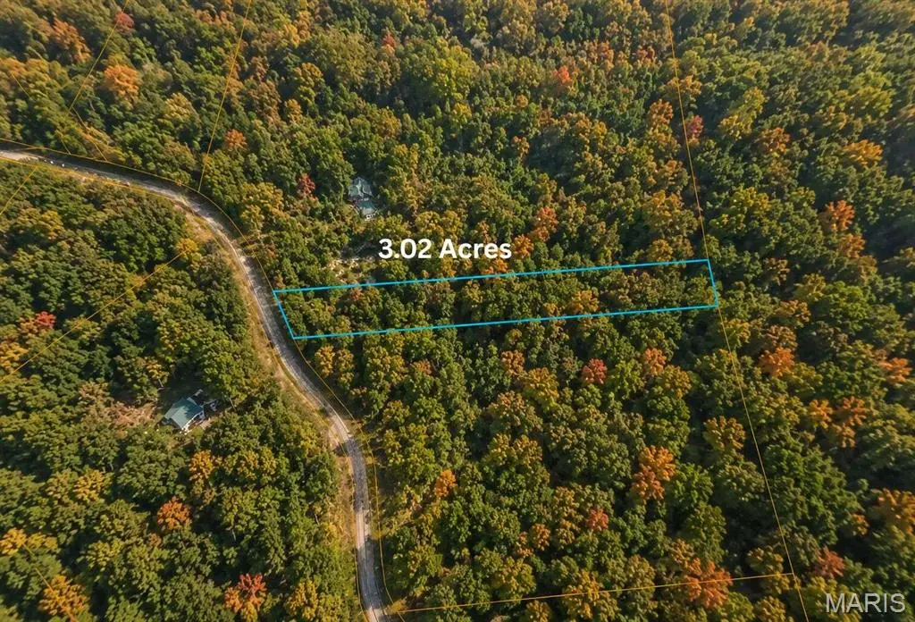 1002 Travis Lane, Potosi, MO 63664 - #1