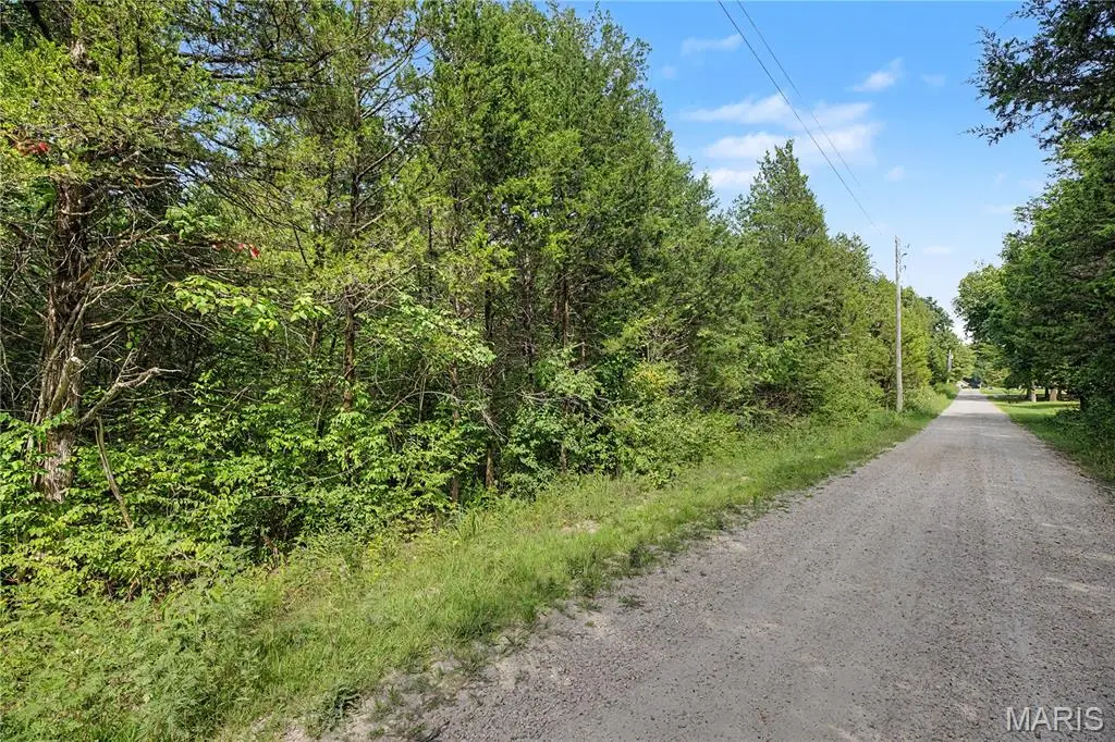 55 & 56 Cedargate, Dittmer, MO 63023 - #1