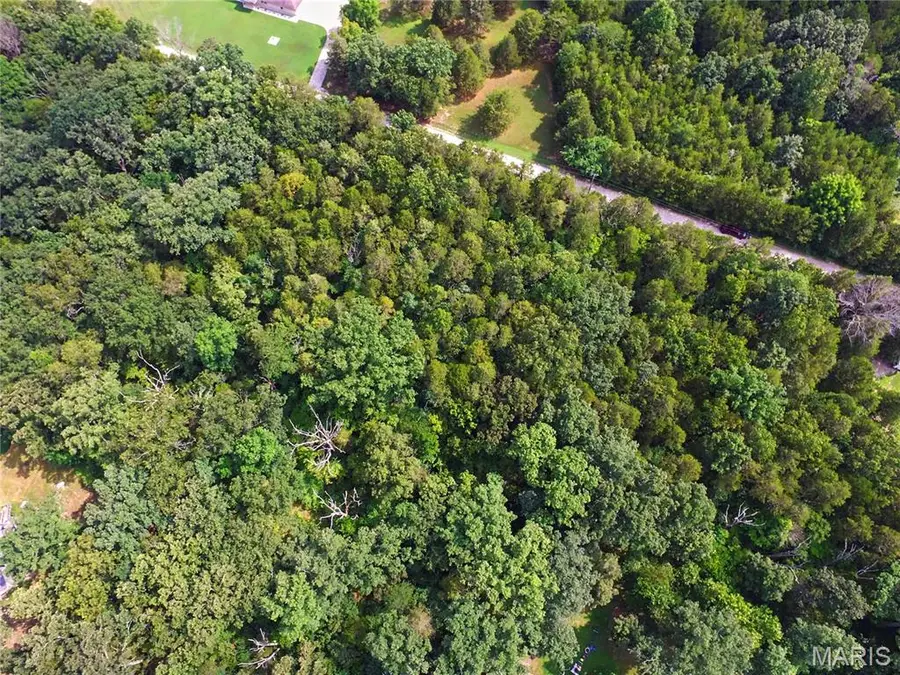55 & 56 Cedargate, Dittmer, MO 63023 - #3