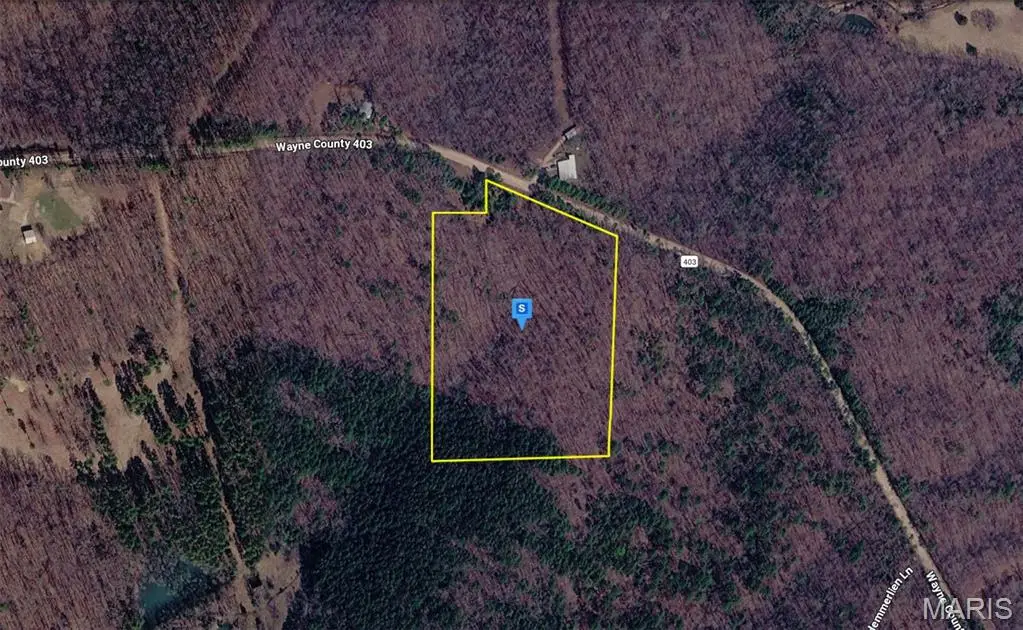 4900 Wayne County 403, Greenville, MO 63944 - #1