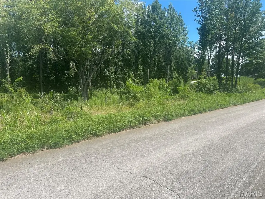 0 Tamarak Lane, Dexter, MO 63841 - #2
