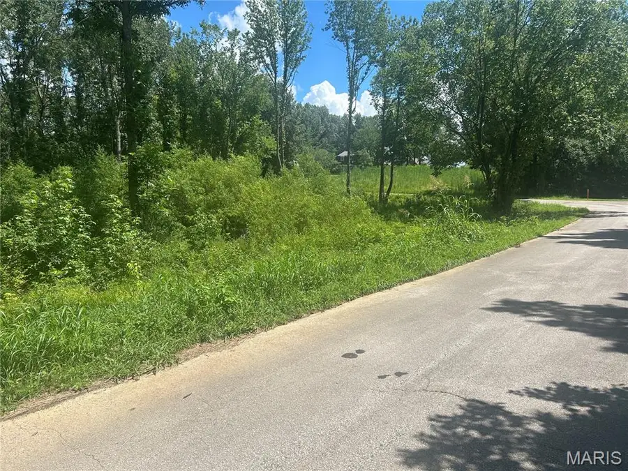 0 Tamarak Lane, Dexter, MO 63841 - #3