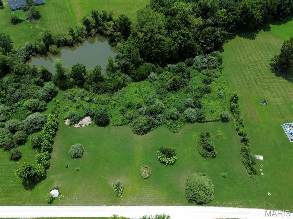 140 Sun Haven Drive, Silex, MO 63377 - #1
