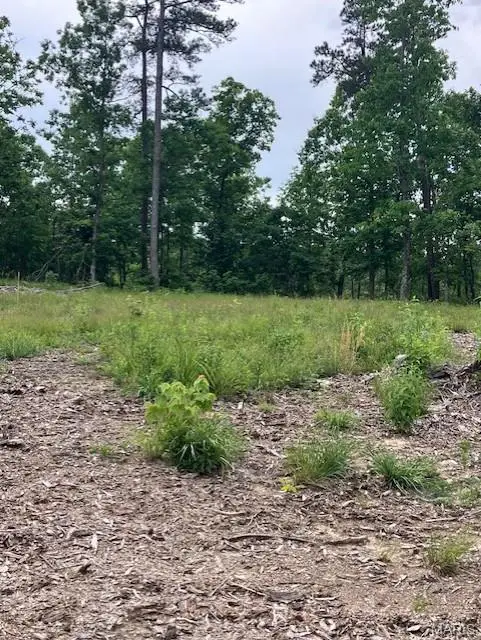 276 Madison Cr 410, Fredericktown, MO 63645