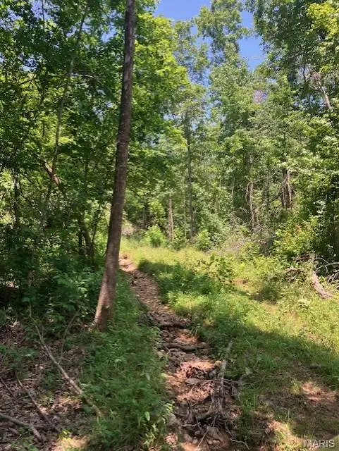 277 Madison Cr 410, Fredericktown, MO 63645 - #2
