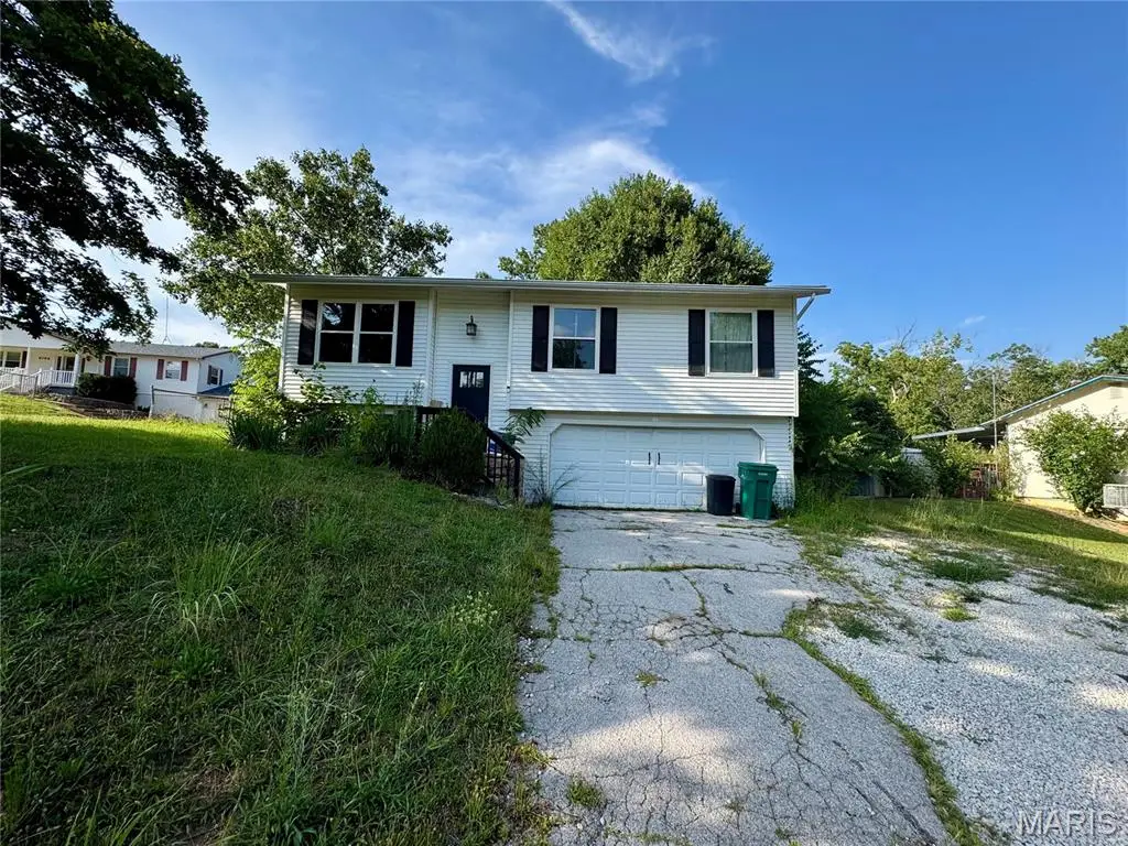 9802 Sandy Church Road, Hillsboro, MO 63050 - #1