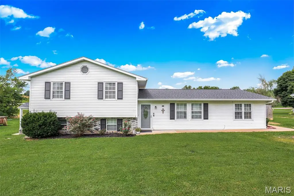 112 Village Creek Road, Fredericktown, MO 63645 - #1