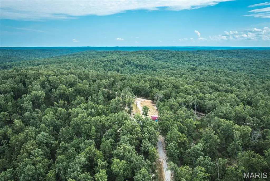 11011 Rivercrest Drive, Potosi, MO 63660 - #1