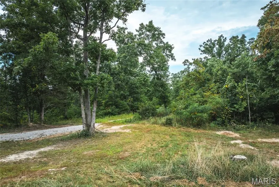11011 Rivercrest Drive, Potosi, MO 63660 - #2