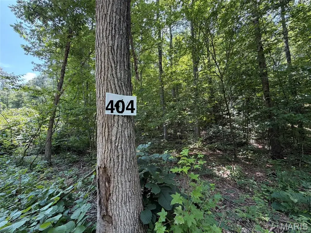 #404 Madison 410, Fredericktown, MO 63645 - #1
