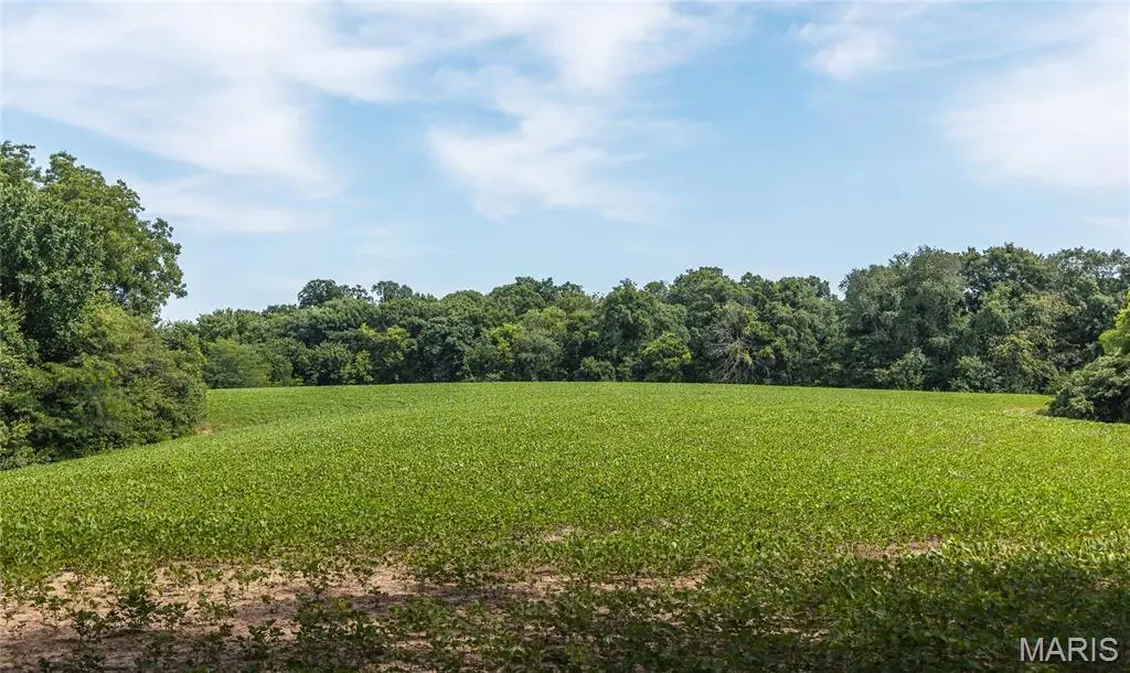 TBD Pellikan Lane, Otter Creek, IL 62052 - #1