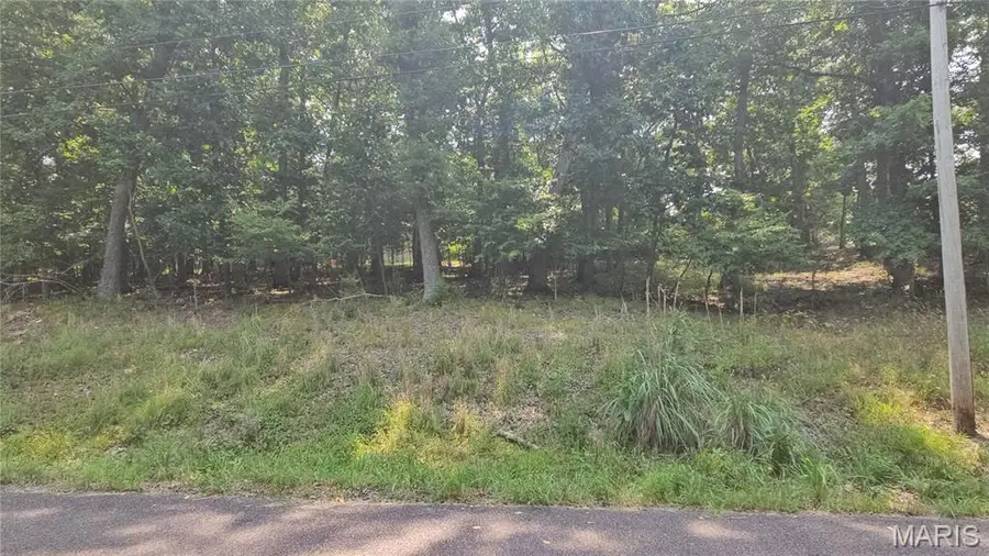 125 N Kings Road, Lake Sherwood, MO 63357 - #2