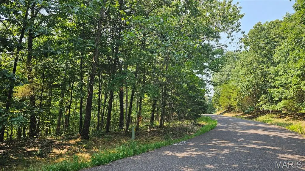 1606 Marion Drive, Lake Sherwood, MO 63357 - #1