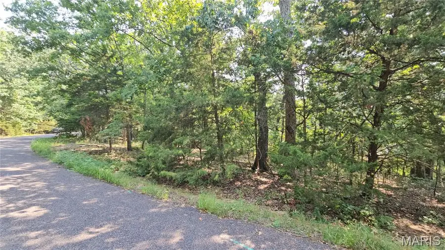 1606 Marion Drive, Lake Sherwood, MO 63357 - #3