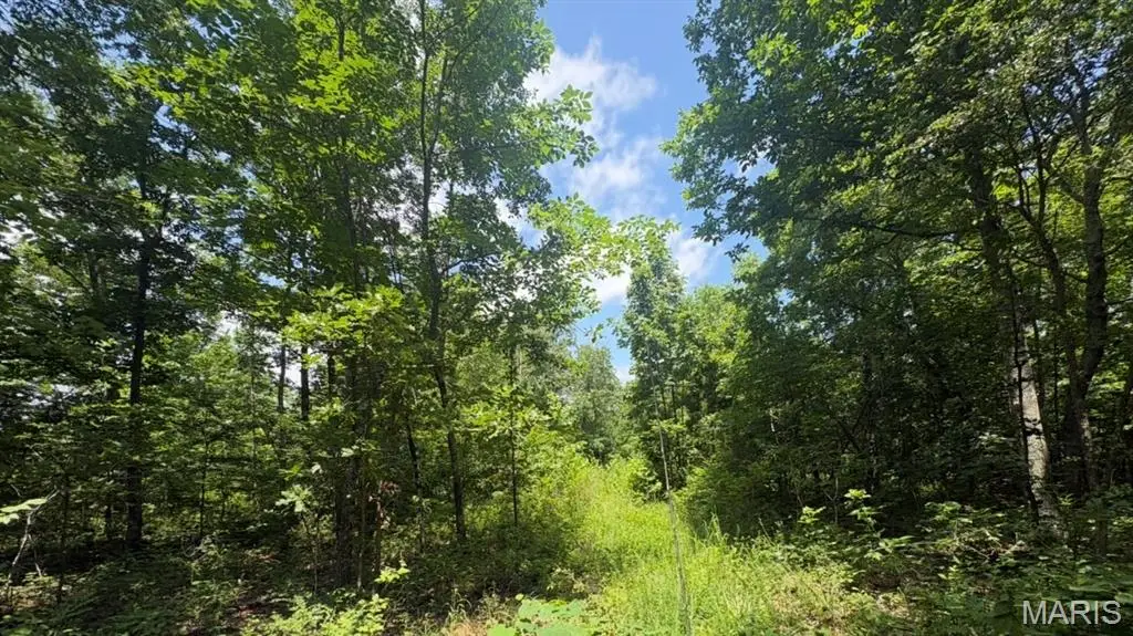 0 H Highway, Ellington, MO 63638 - #1