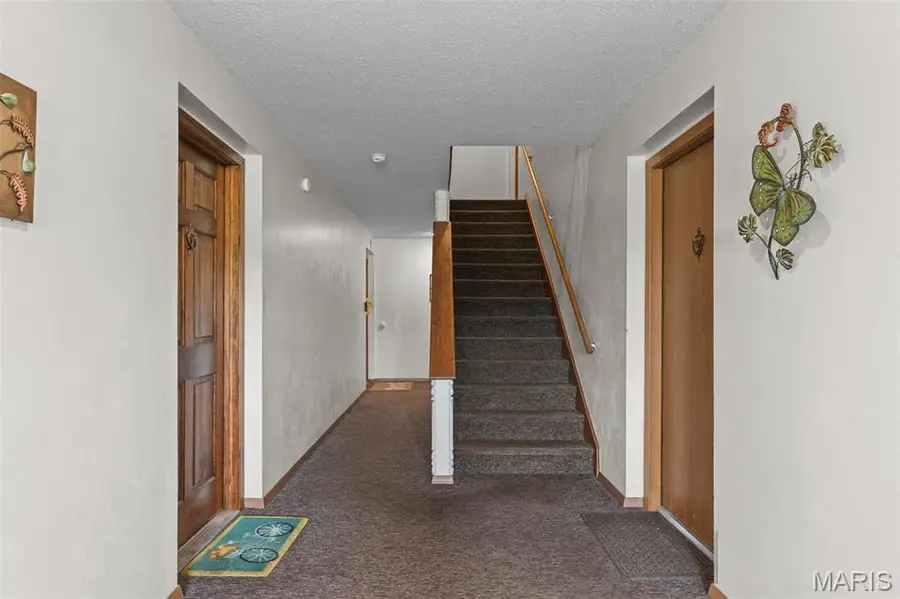 256 Carriage Court, Washington, MO 63090 - #3