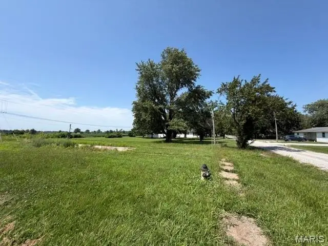 301 Washington Street, Wellsville, MO 63384 - #2