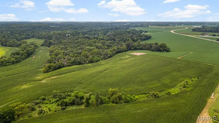 4145 Levy Lane, Millstadt, IL 62260 - #3