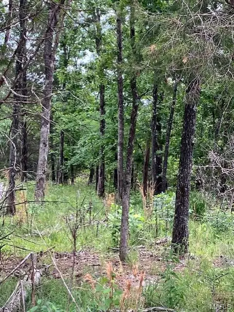75 Madison Cr 410, Fredericktown, MO 63645 - #3