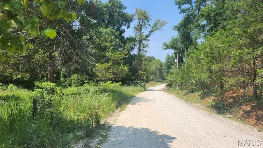 3047 Dorman Road, Festus, MO 63028 - #2