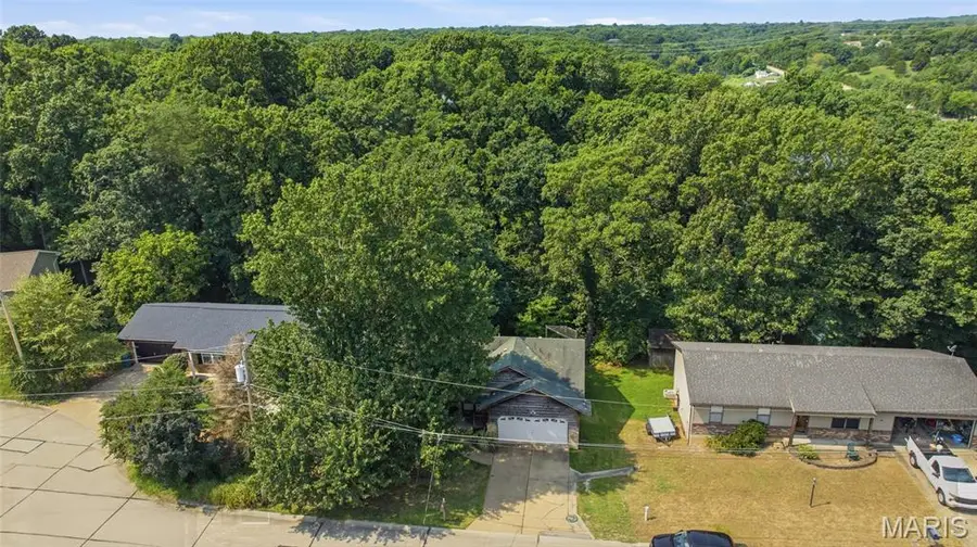 2553 Tricia Lane, High Ridge, MO 63049 - #3