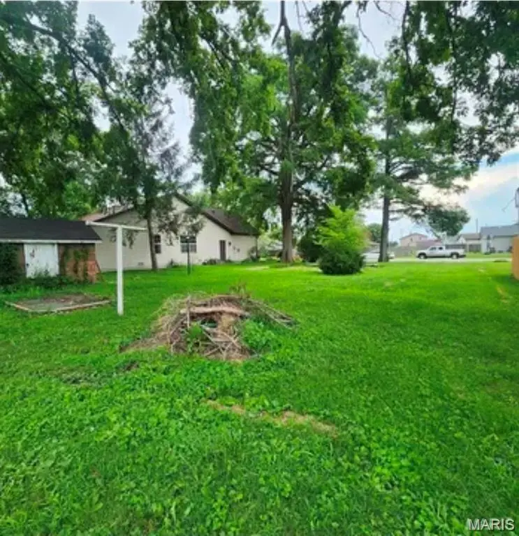 13 N Main Street, Moro, IL 62067 - #3