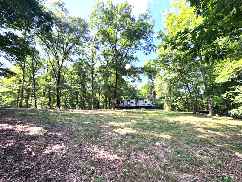 43121 Deerview Trail, Monroe City, MO 63456 - #1