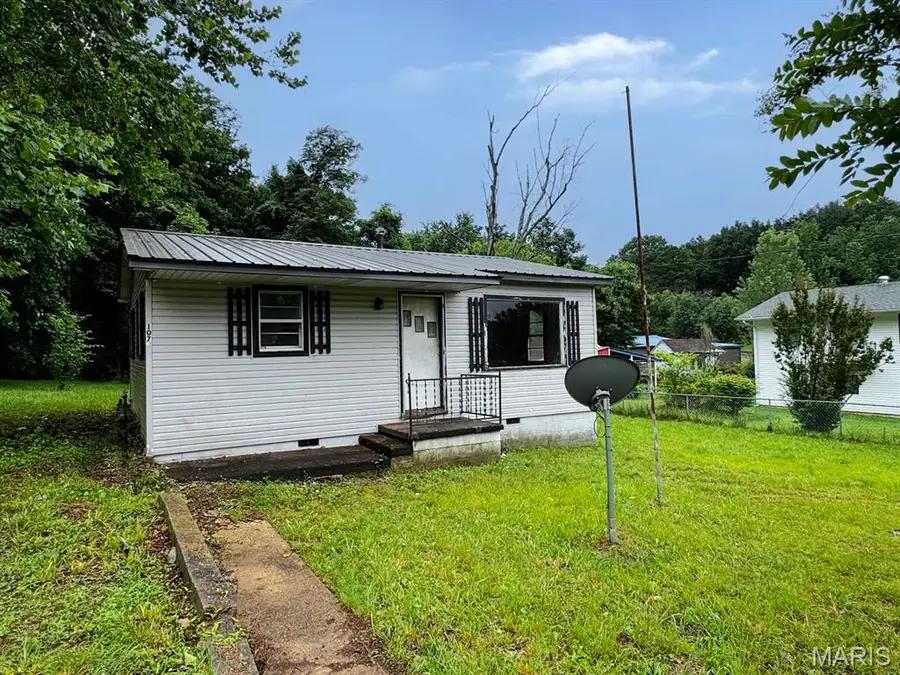 107 Plum Street, Greenville, MO 63944 - #2