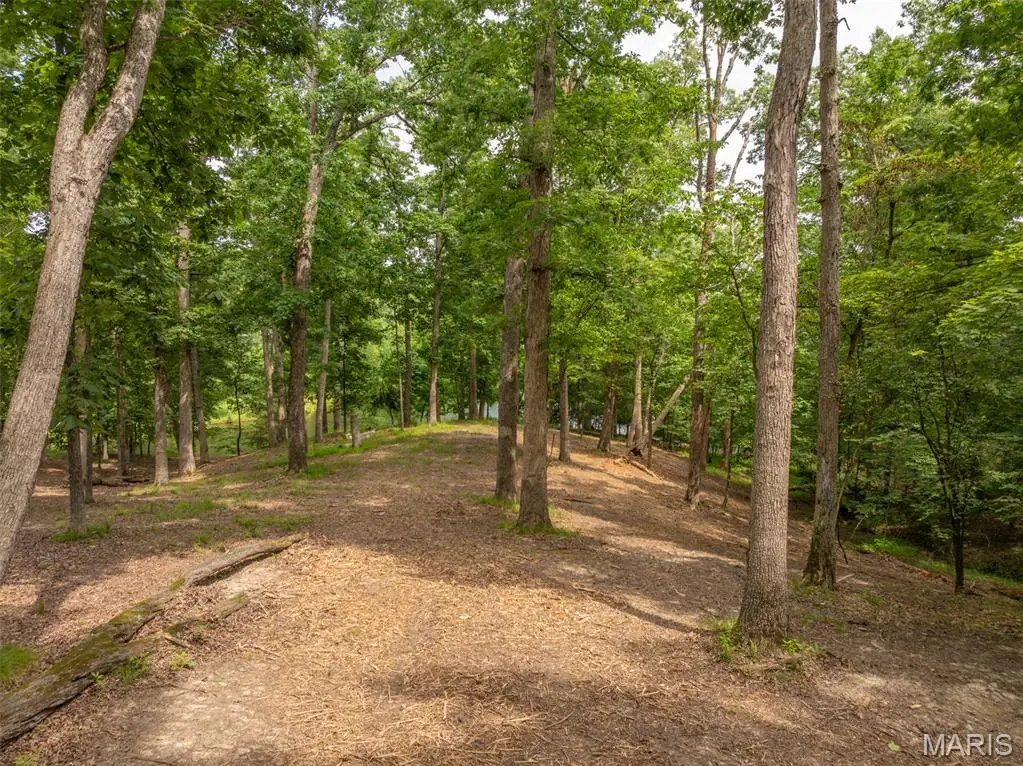 463 Foxfire Crossing Drive, Innsbrook, MO 63390 - #1