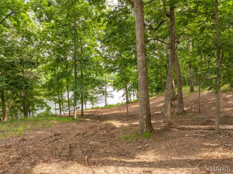 463 Foxfire Crossing Drive, Innsbrook, MO 63390 - #3