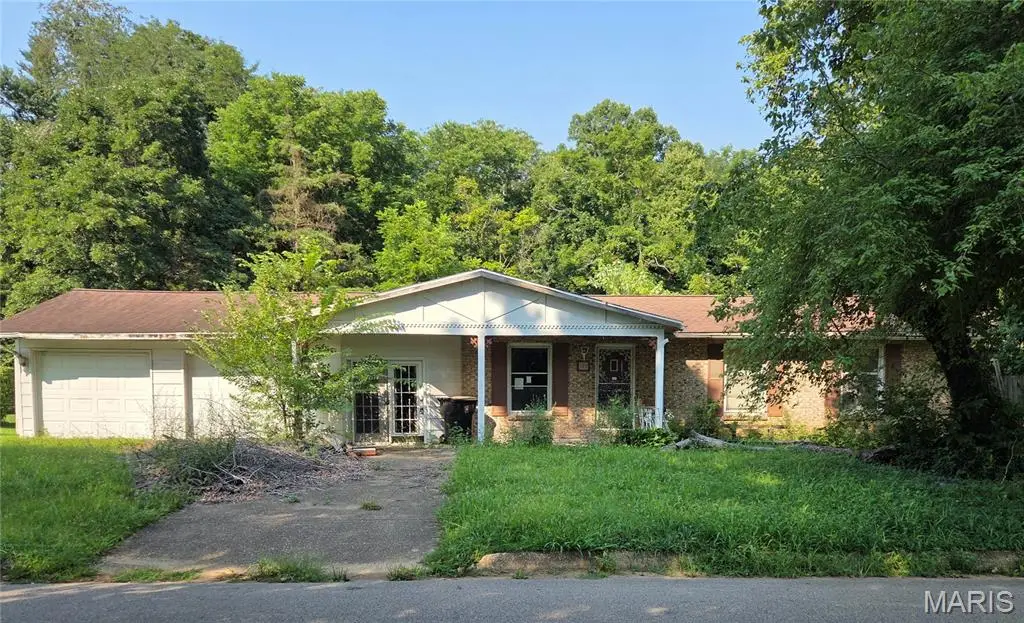 328 Michael Lane, Ironton, MO 63650 - #1