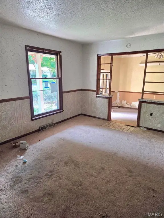 328 Michael Lane, Ironton, MO 63650 - #3