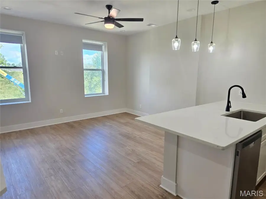 3914 Detonty Street, Saint Louis, MO 63110 - #3