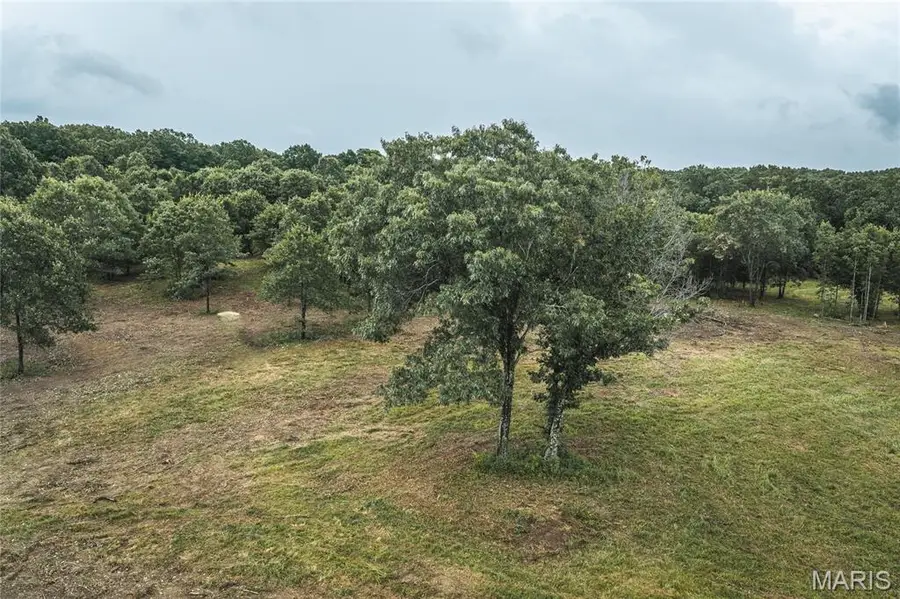 Tract 2 Highway 19, Steelville, MO 65565 - #2