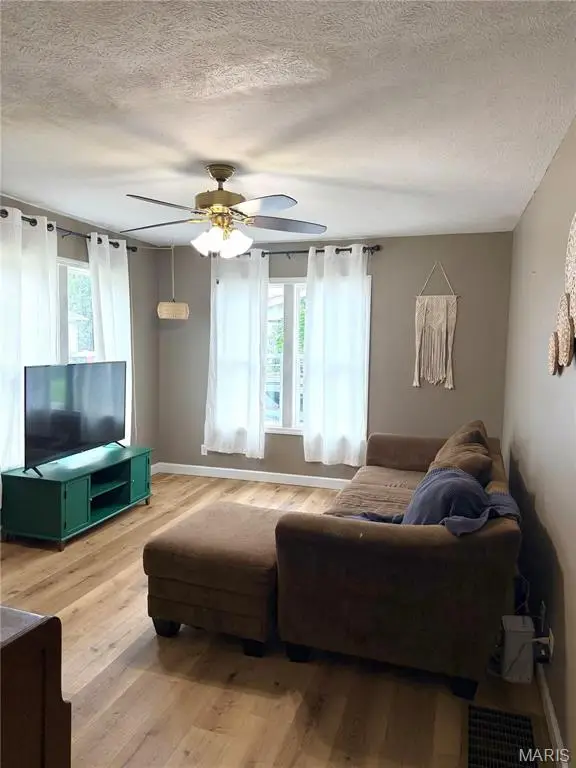828 Freeland Avenue, Hillsboro, IL 62049 - #3
