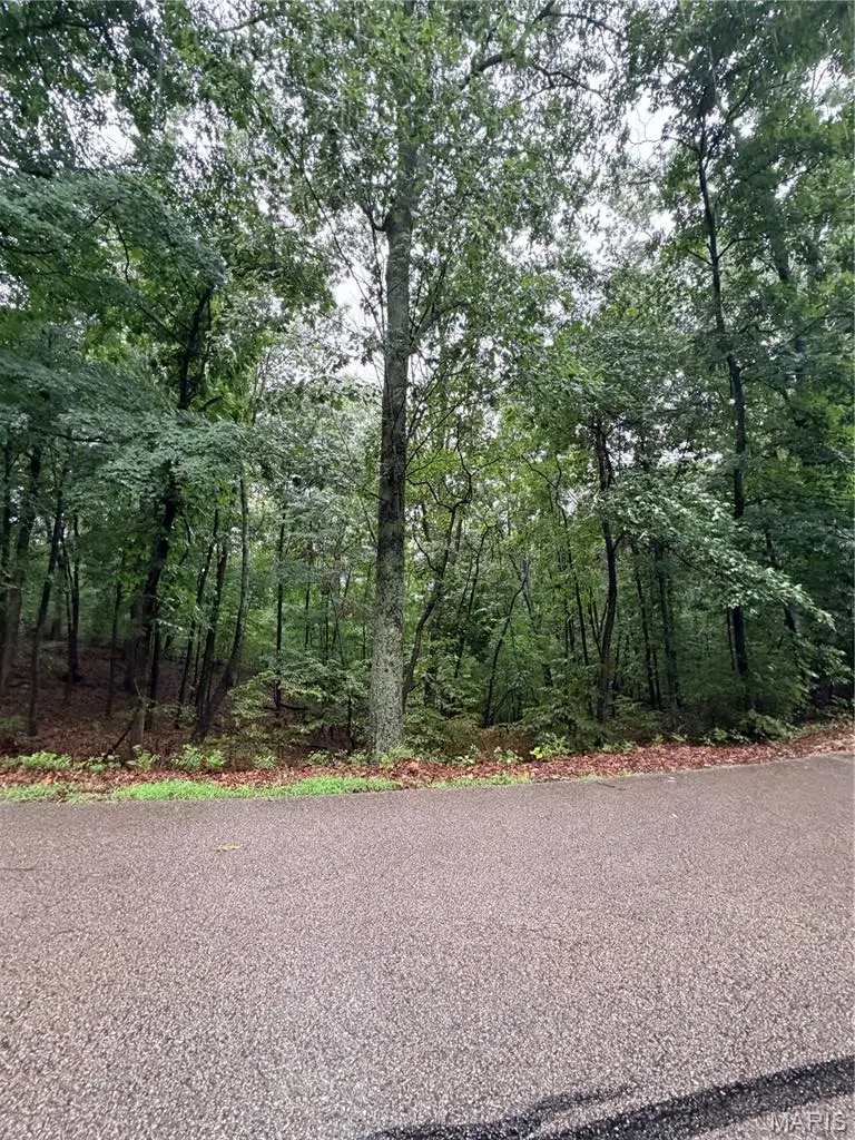 3503 Hawthorne Ridge Drive, Meramec, MO 63025 - #3