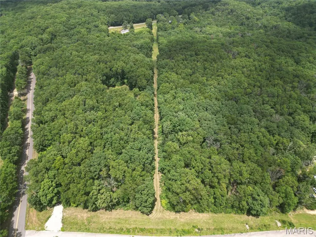 Lot 1 Heritage Woods Subdivison, Steelville, MO 65565 - #1