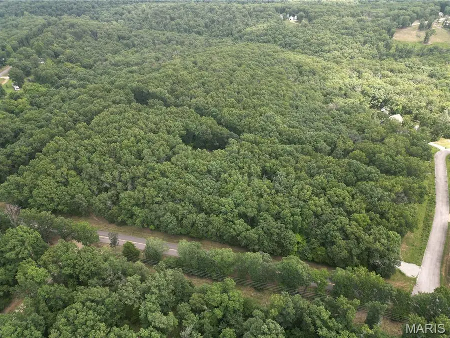 Lot 1 Heritage Woods Subdivison, Steelville, MO 65565 - #3
