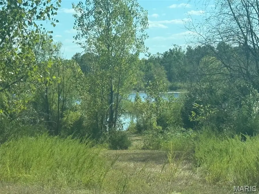 7 Lakeview Meadows Lot 7, Cadet, MO 63630 - #2