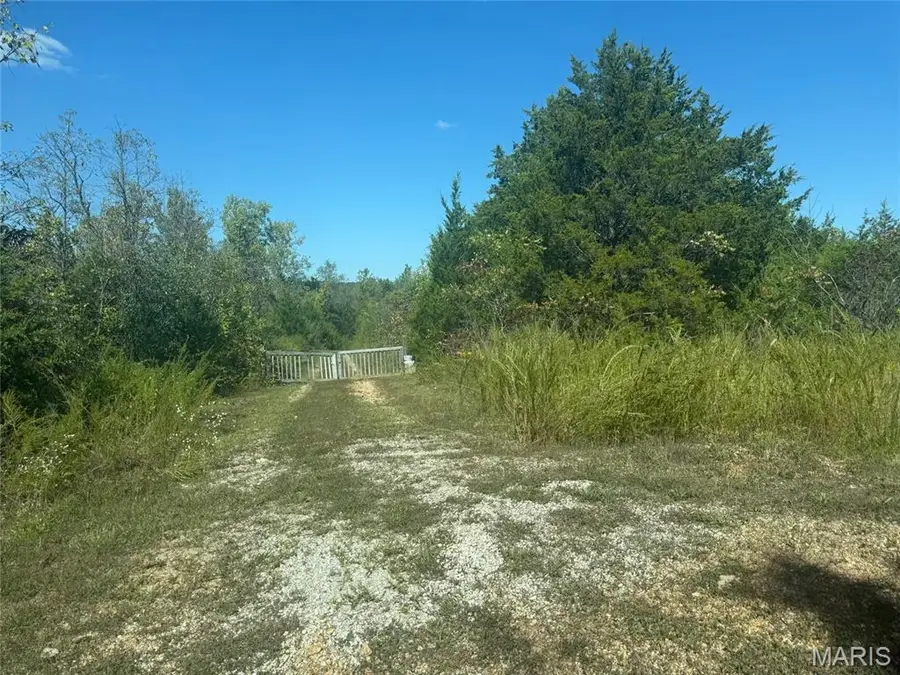 7 Lakeview Meadows Lot 7, Cadet, MO 63630 - #3