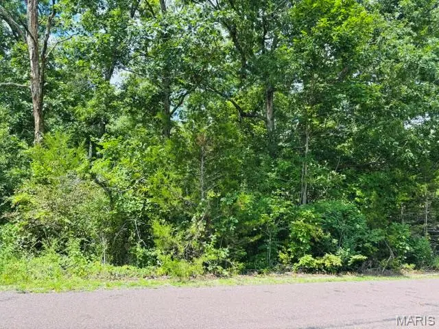 2045 Lakeshore Drive, Cuba, MO 65453 - #2