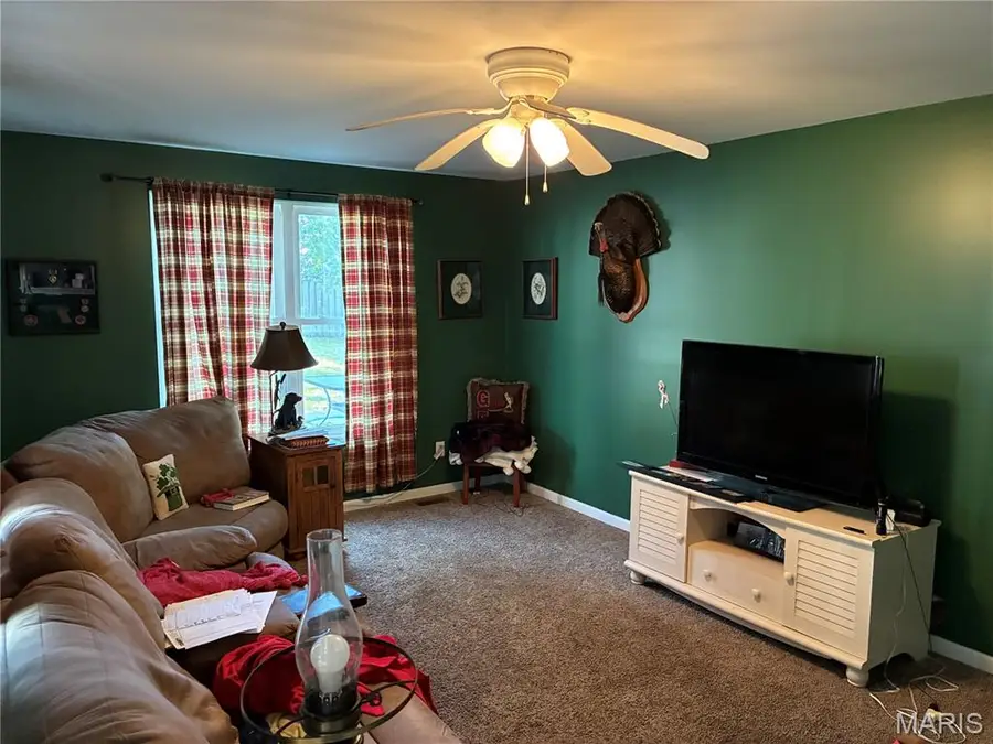 849 Fuhrmann Terrace, Saint Louis, MO 63122 - #3