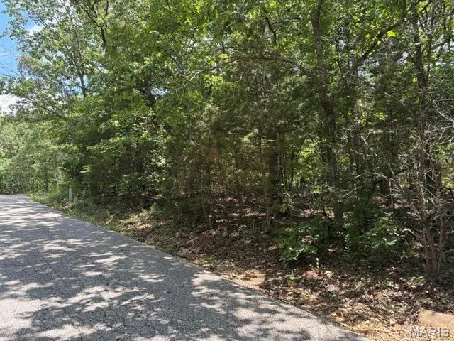 61 Sumter Drive, Raintree Plantation, MO 63050 - #1
